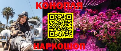 PSILOCYBIN Усть-Илимск