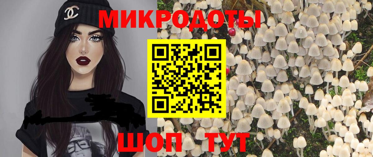 Вятские Поляны  Галлюциногенные грибы GOLDEN TEACHER  купить наркоту  Вход с VPN 